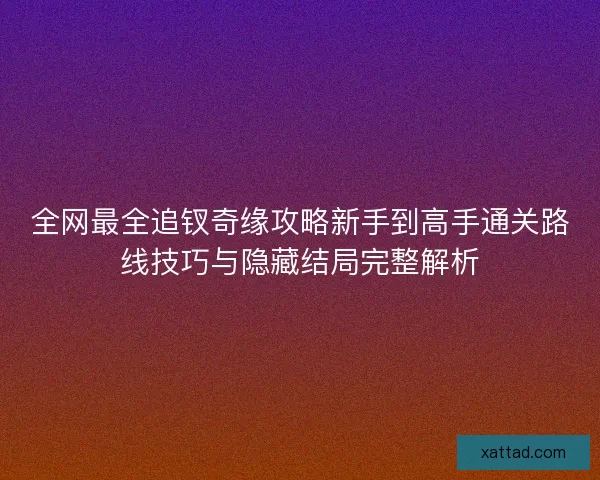 全网最全追钗奇缘攻略新手到高手通关路线技巧与隐藏结局完整解析